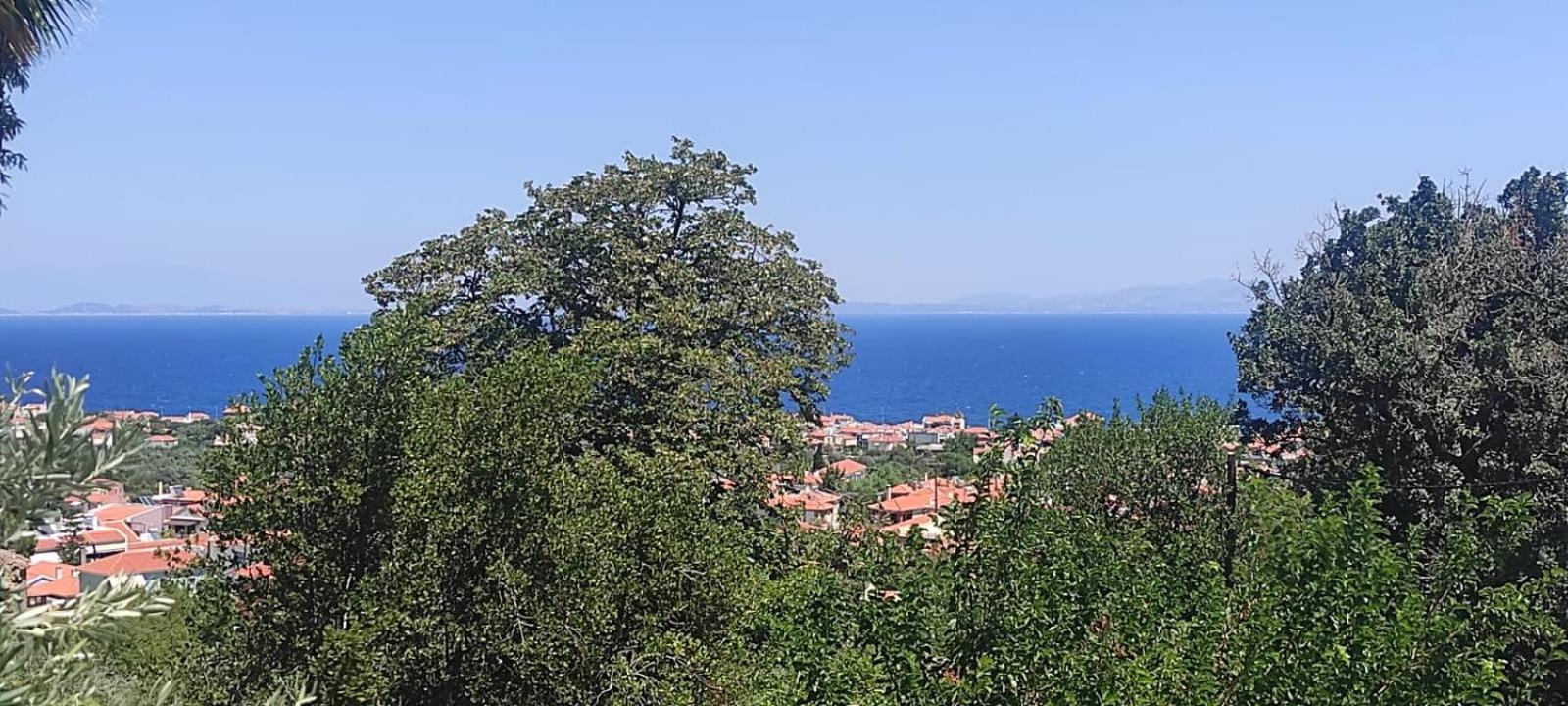 Studios Akrotiri Μυτιλήνη Εξωτερικό φωτογραφία